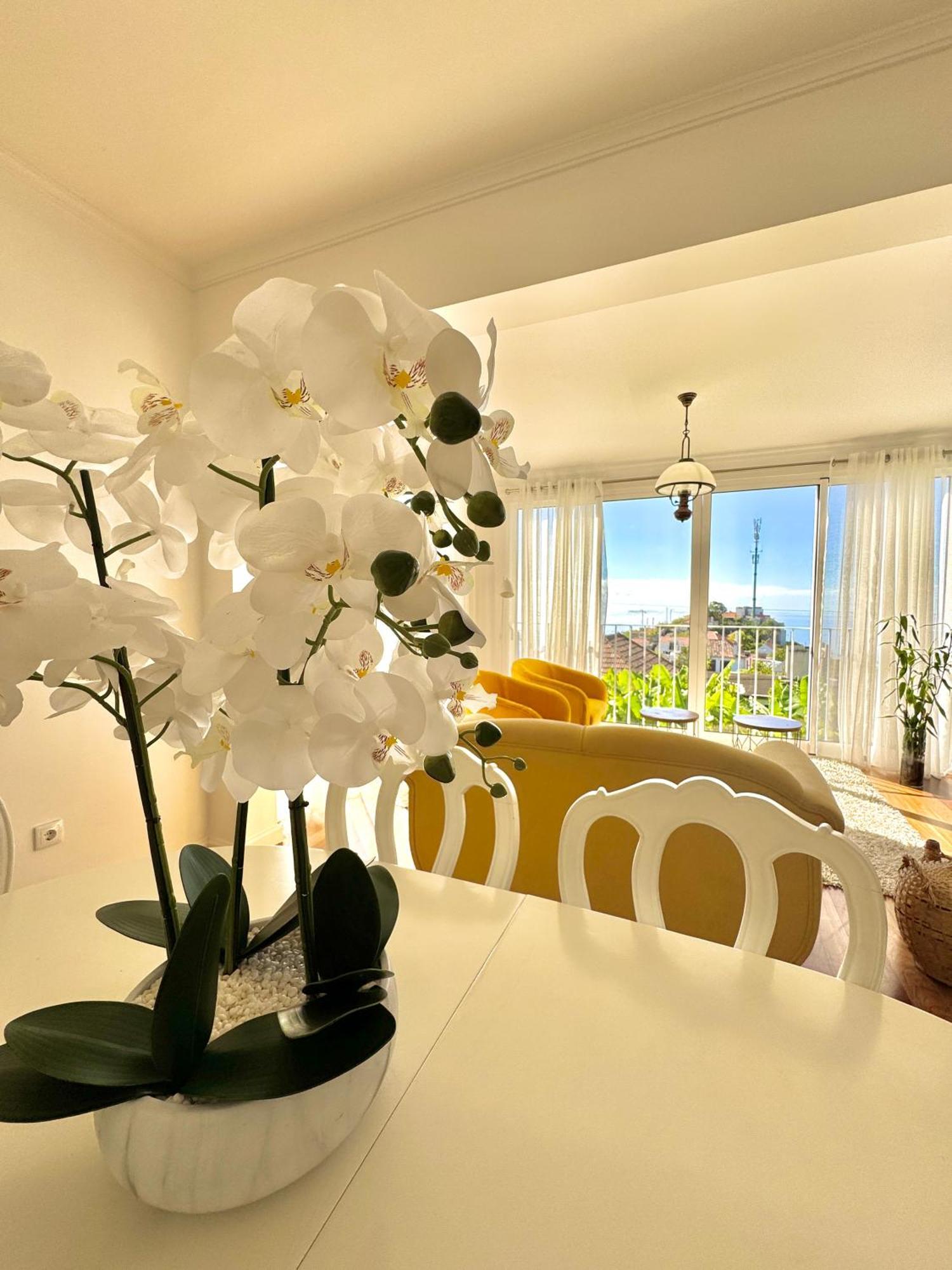 A Velha Casa Caboz Apartment Ponta do Sol  Exterior photo